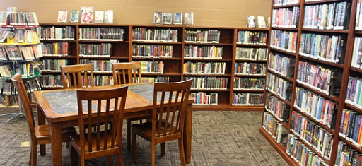 Domar Government College Library